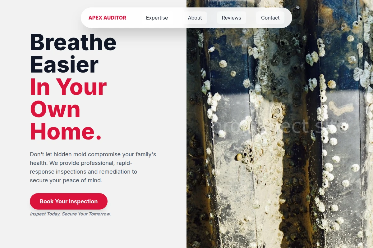 Standard Mold Removal