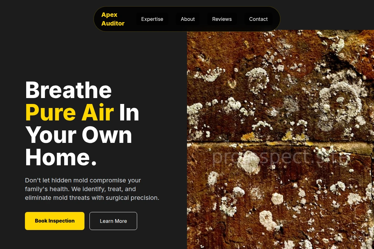 Mold Mold Removal