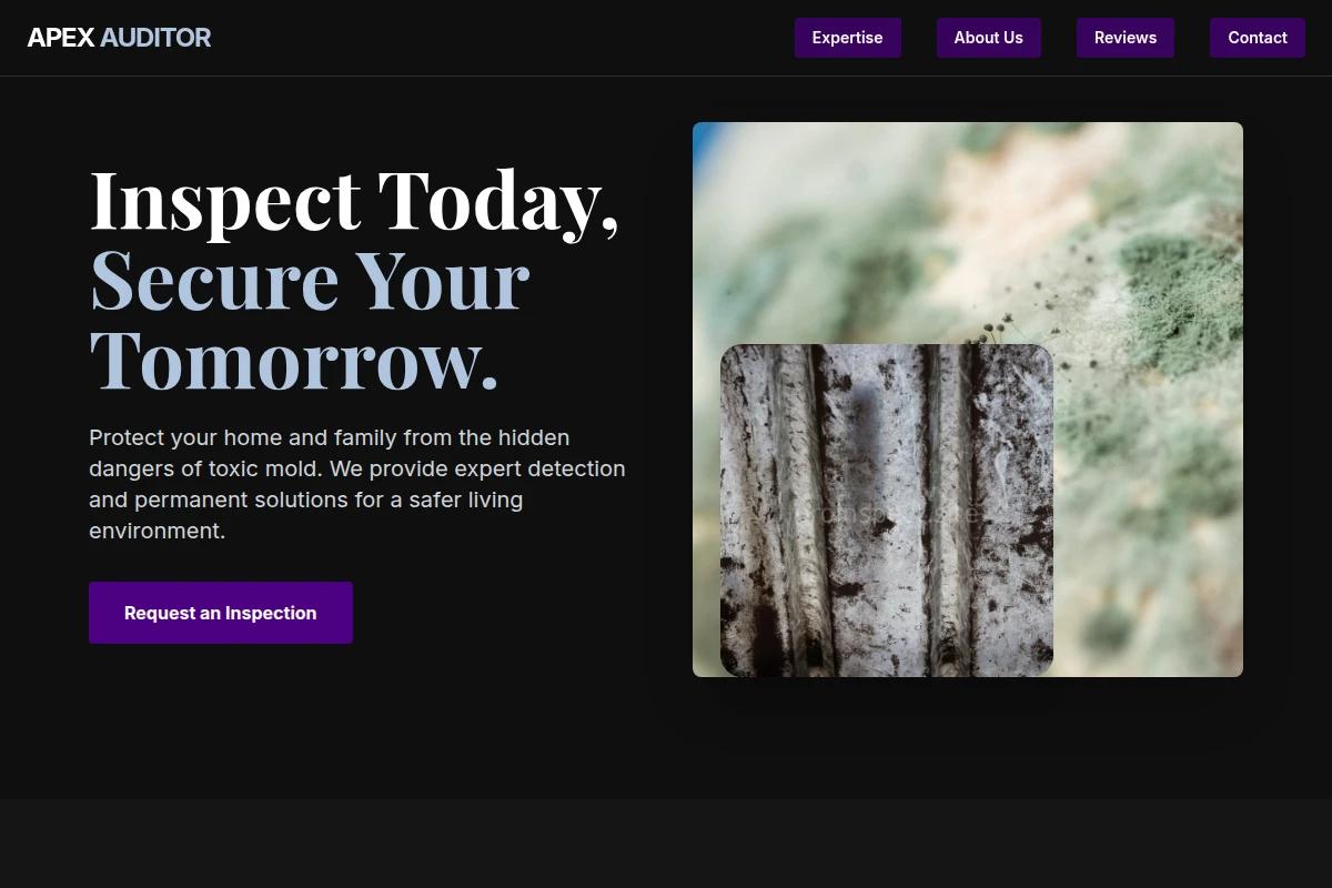 Risk Mold Removal