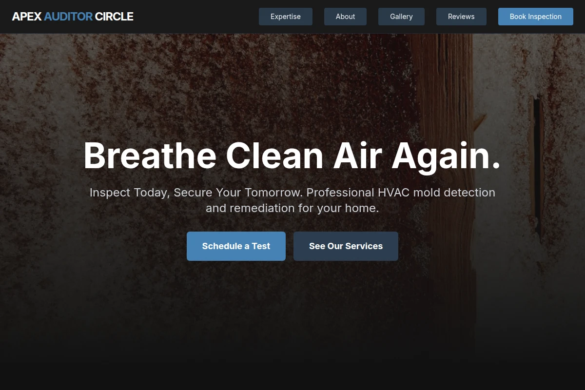 HVAC Mold Removal
