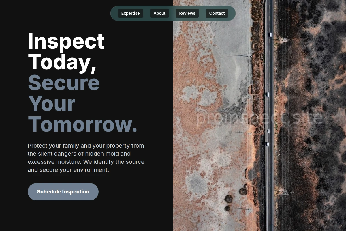 Moisture Mold Removal