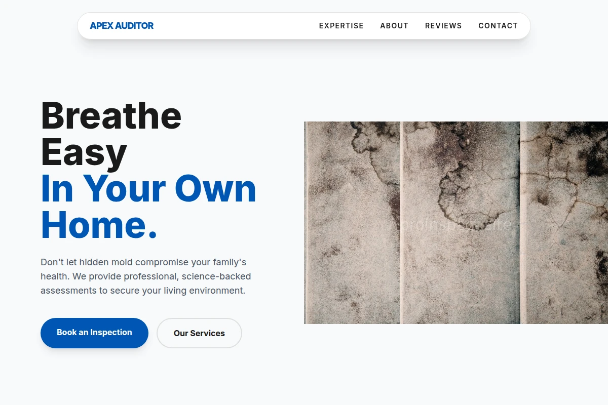 Appraisal Mold Removal