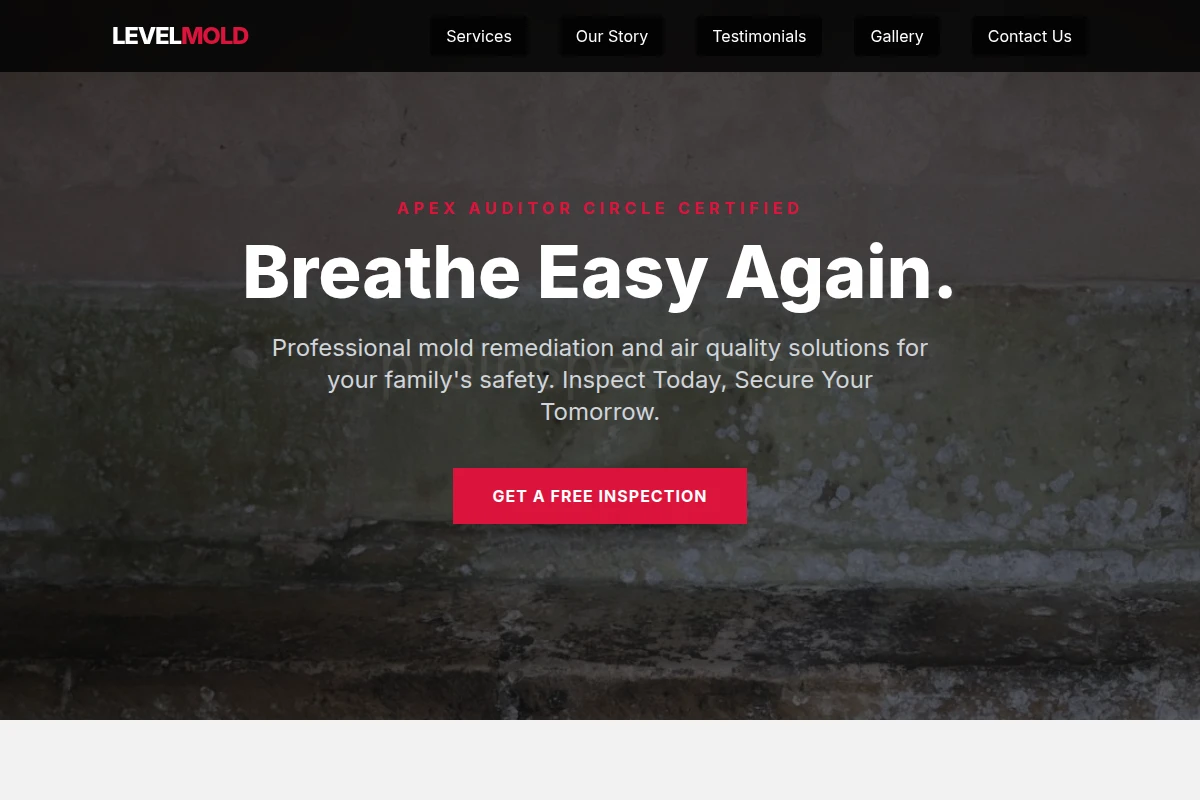 Level Mold Removal