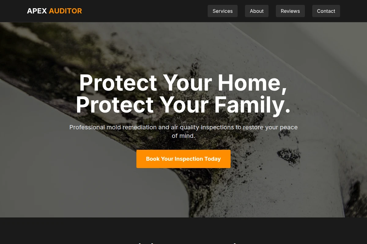 Standard Mold Removal